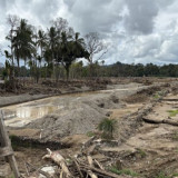 Perlu Alat Berat Amfibi untuk Angkut Tumpukan Kayu