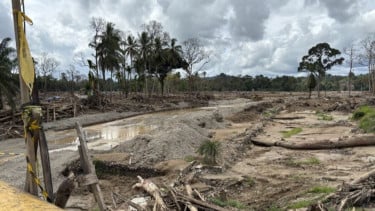 Perlu Alat Berat Amfibi untuk Angkut Tumpukan Kayu