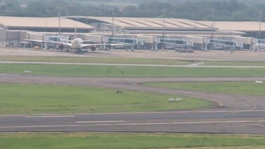 Pesawat Latih Tergelincir di Bandara Juanda Membuat Runway Ditutup Sementara