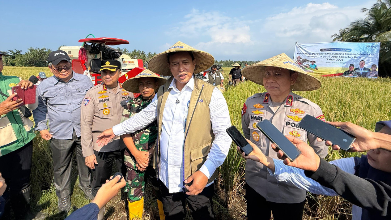 Kejar Target 4 Juta Ton Beras, BULOG Optimalkan Serapan Gabah di NTB
            - galeri foto