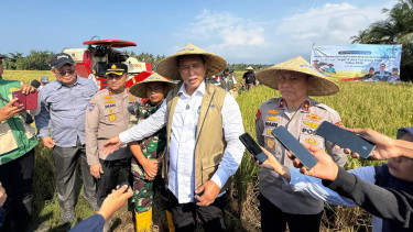 Kejar Target 4 Juta Ton Beras, BULOG Optimalkan Serapan Gabah di NTB