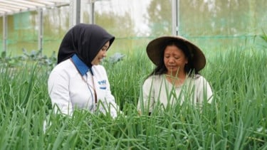 Usaha Ultra Mikro Diberi Pembiayaan dan Pendampingan Upaya Dorong Naik Kelas