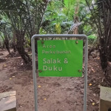 Ada di Condet, Gang Goa Monyet Jejak Kampung Terakhir Jakarta yang Menjaga Suasana Jadul di Tengah Urbanisasi