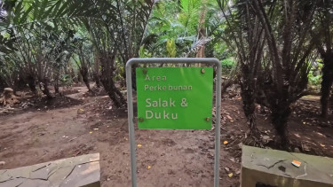 Ada di Condet, Gang Goa Monyet Jejak Kampung Terakhir Jakarta yang Menjaga Suasana Jadul di Tengah Urbanisasi