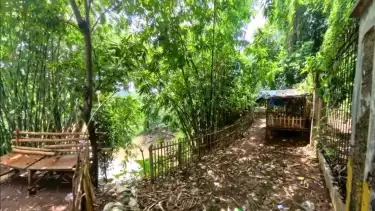 Suasana Gang Goa Monyet, kawasan tersembunyi di Condet yang dijuluki Kampung Terakhir Jakarta