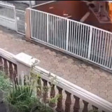 Detik-detik Ledakan Tabung Gas 12 Kg di Palembang Terekam CCTV, Dua Orang Tewas 