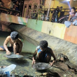 Heboh, Warga Pamekasan Beramai-ramai Berburu Emas di Selokan