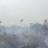 Kebakaran Lahan, Pemkab Aceh Barat Tetapkan Status Darurat Bencana