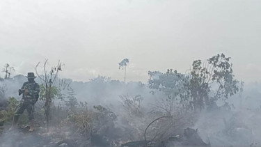 Kebakaran Lahan, Pemkab Aceh Barat Tetapkan Status Darurat Bencana