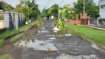 Bertahun-tahun Rusak Tak Diperbaiki, Jalan di Sidoharjo Nganjuk Ditanami Pohon Pisang