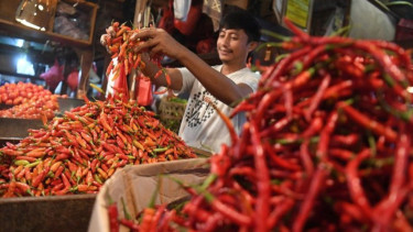 Stok Pangan Jakarta Jelang Imlek dan Ramadhan, Pramono: Saya Selalu Telepon Kepala Daerah Penghasil Pangan