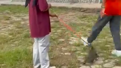 Viral Pensiunan ASN Tendang Kucing hingga Mati di Blora, Ini Penjelasan Hukum Menyakiti Hewan dalam Islam