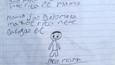 Fakta-Fakta Anak SD di NTT Bunuh Diri Karena Tak Mampu Beli Buku dan Pena Seharga Rp10 Ribu, Akhiri Hidup di Pohon Cengkeh hingga Gambar Dirinya Menangis