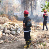 Parigi Moutong Siaga Karhutla