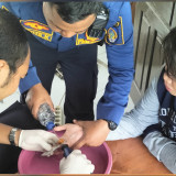 Sepuluh Tahun Melingkar di Jari, Cincin Tunangan Warga Nganjuk Berhasil Dilepas Damkarmat