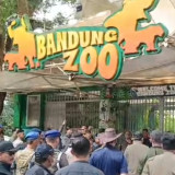 Kebun Binatang Bandung Disegel Tiga Bulan, Farhan: Negara Ambil Alih Pengelolaan Transisi
