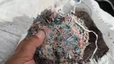 Wujud uang dicacah-cacah yang ditemukan di TPS ilegal Desa Taman Rahayu, Kecamatan Setu, Kabupaten Bekasi, Rabu.