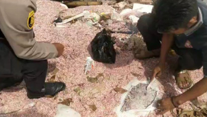 Bikin Heboh Cacahan Uang di TPS Bekasi, Polisi Amankan Sampel dan Uji Keaslian di Laboratorium Forensik