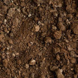 Fenomena Pergerakan Tanah di Tegal Masih Aktif, BNPB Sebut Jumlah Pengungsi Terus Bertambah hingga Tembus 2.453 Jiwa