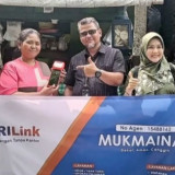 Sinergi BRI, Pegadaian, dan PNM Perkuat Akses Keuangan Lewat Agen BRILink Mekaar, Jumlahnya Kini Tembus 430 Ribu Agen