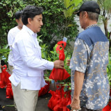 Simbol Keberlanjutan Perjuangan, Gerindra Bagi Bibit Pohon Buah saat HUT ke-18