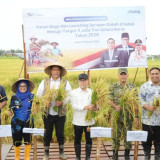 Bulog Luncurkan Program Serapan Gabah di Maros, Siap Topang Target 4 Juta Ton untuk Menuju Ekspor Beras