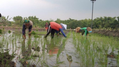 Bolehkah pakai Lahan Pemerintah untuk Bercocok Tanam? Begini Penjelasan Buya Yahya dari Perspektif Islam