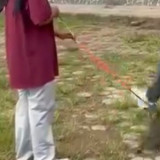 Update Kasus Kucing Tewas Ditendang Pria di Blora: Polisi Naikkan Status ke Penyidikan, Pelaku Terancam Pidana