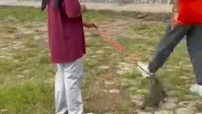 Update Kasus Kucing Tewas Ditendang Pria di Blora: Polisi Naikkan Status ke Penyidikan, Pelaku Terancam Pidana