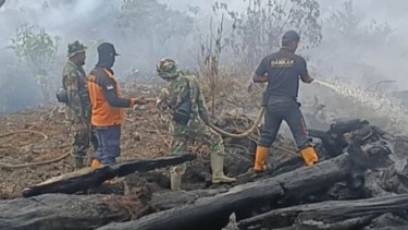 Belum Pulih dari Bencana Banjir dan Tanah Longsor, Kini Aceh Dilanda Karhutla