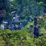 Cuaca Ekstrem di Makassar, Ratusan Pohon Tumbang Dalam Sepekan