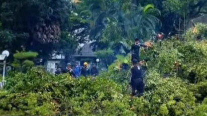 Cuaca Ekstrem di Makassar, Ratusan Pohon Tumbang Dalam Sepekan