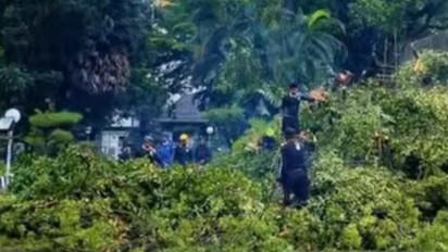 102 Pohon di Makassar Tumbang Akibat Cuaca Ekstrem