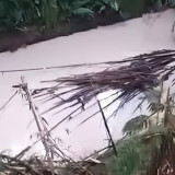 Sungai di Serpong Diduga Tercemar Bahan Kimia