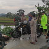 Tragis! Tiga Petani di Sleman Tersambar Petir saat Berteduh di Gubug, Dua Orang Tewas dan Satu Selamat