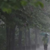 BMKG Peringatkan Hujan Lebat hingga Sangat Lebat di Sejumlah Kota, Jakarta dan Surabaya Berpotensi Disertai Petir