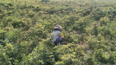 MBG Dikhawatirkan Sebabkan Inflasi di Bali