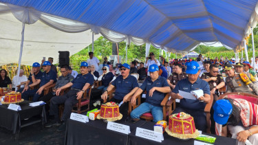 Panen Raya Jagung di Maros, Perkuat Langkah Swasembada Pangan