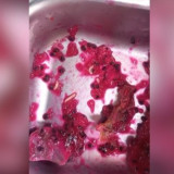 Viral! Belatung Muncul di Makanan Program MBG di Dua SD Lombok Tengah