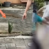 Tak Terima Ditegur Main Drum, Pria yang Dianiaya Tetangganya di Cengkareng Kini Dilaporkan Balik