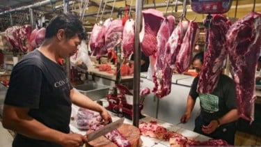 Jakarta Impor 600 Sapi dari Australia untuk Stok Ramadan dan Lebaran 2026