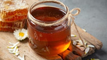 Ini Anjuran Minum Madu Bisa Sehatkan Badan Selama Puasa Ramadhan