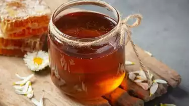 Ini Anjuran Minum Madu Bisa Sehatkan Badan Selama Puasa Ramadhan