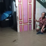 17 Desa di Jember Terendam Banjir