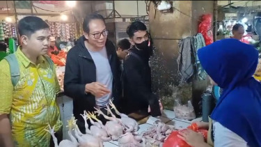Jelang Ramadan, Harga Ayam di Pasar Disebut Masih di Bawah HAP, Pemerintah Pastikan Stok Aman