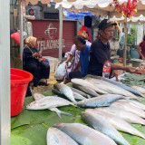 Bikin Jalanan Macet, Warga Usul Festival Ikan Bandeng Digelar di Lapangan