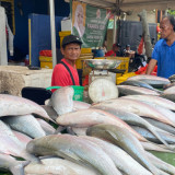 Festival Ikan Bandeng Ternyata Punya Makna Filosofis Bagi Orang Betawi, Ini Kata Budayawan