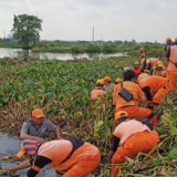Peringatan BMKG pada 16-19 Februari Jakarta Diguyur Hujan Lebat, 72 Stasiun Pompa Telah Disiagakan