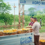 BRI Kembali Gelar Program Desa BRILiaN 2026, Perkuat Implementasi Asta Cita Melalui Pemberdayaan Ekonomi Desa