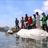 DPR Semprot Pemerintah soal Garam Impor: Matiin Petani Lokal